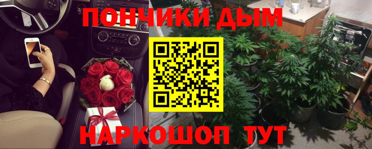 Кувандык  Канабис гибрид  Вход с VPN  Марихуана конопля  МАРИХУАНА сатива 