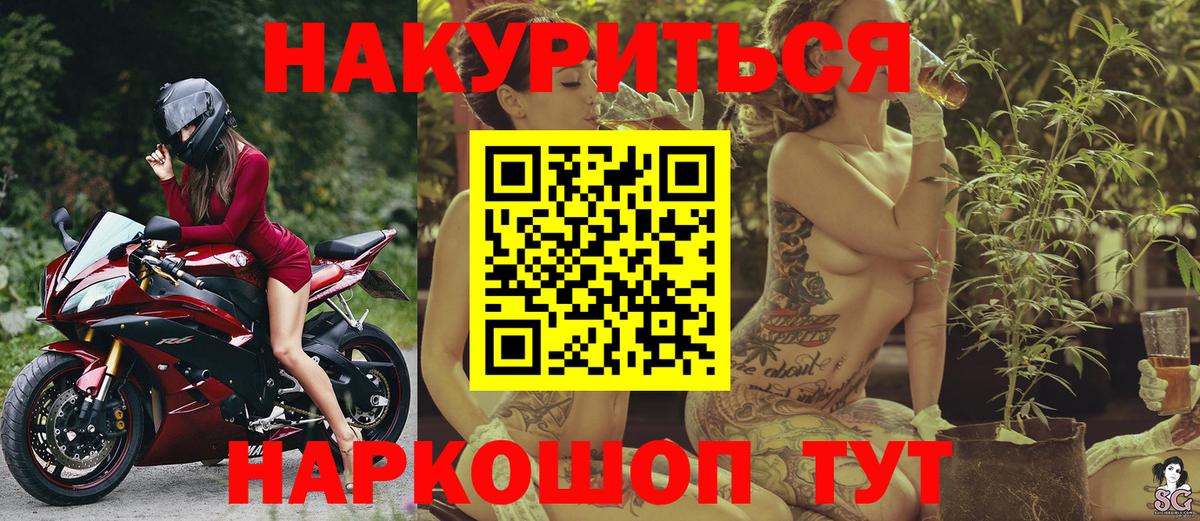 Каннабис сатива Кувандык